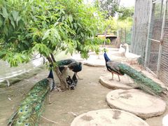 -河北村民俗体验园