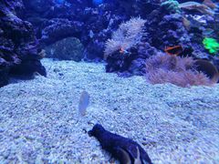 -成都浩海立方海洋公园