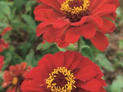 -洋湖国家湿地公园