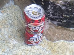 -青城道汤池