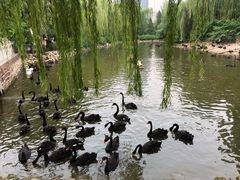-郑州市动物园
