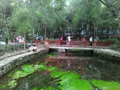 -水磨沟公园