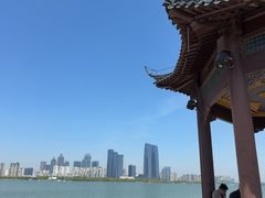 -金鸡湖桃花岛
