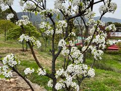 -呼吸森林·生态农庄农家乐私房菜