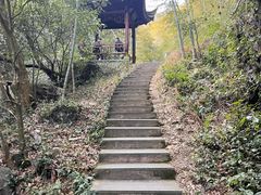 -宁波五龙潭景区