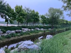 -东郊湿地公园