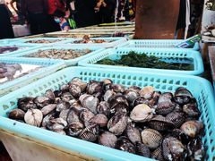 -南沙十九涌渔人码头-南门