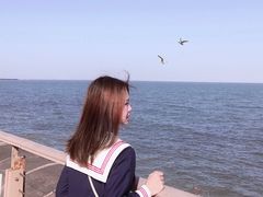 -东疆建设开发纪念公园