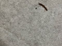 -重庆际华园室内极限运动中心