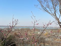 -幕燕滨江·燕子矶公园