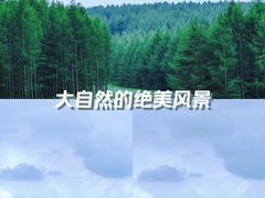 -塞罕坝国家级自然保护区