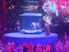 -广州长隆国际大马戏