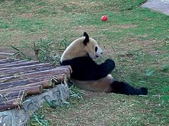 -西安秦岭野生动物园