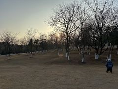 -盘龙城国家考古遗址公园