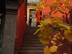-潭柘寺景区