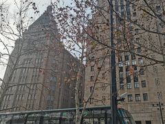 -BUS TOUR观光巴士