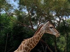 -泉州海丝野生动物世界