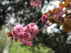 -苏州河梦清园环保主题公园