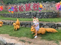 -欢乐松鼠谷