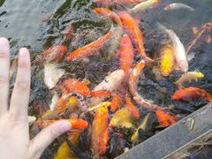 -珠海圆明新园