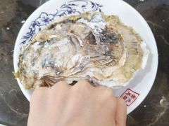 -蚝专家(北滘店)