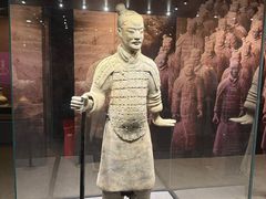-徐州博物馆
