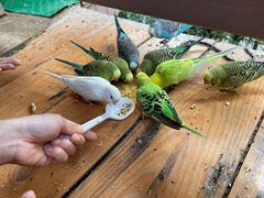 -南宫五洲植物乐园