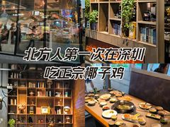 -润园四季椰子鸡火锅(南山海岸城店)