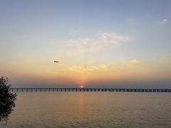 -宝安西湾红树林湿地公园