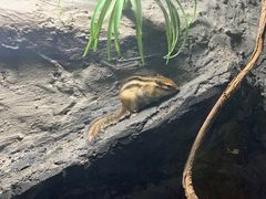 -常州海昌海洋探索馆