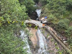 -广州白江湖森林公园