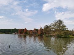 -海珠湖公园