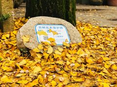 -汇龙潭