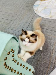 -元一肌肤管理中心