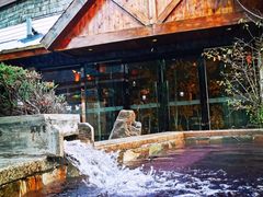 -汉拿山温泉度假酒店