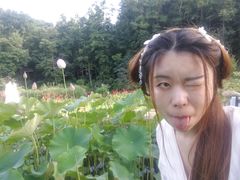 -阿哈湖国家湿地公园