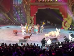 -珠海横琴长隆《卡卡虎奇遇记》