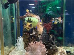 -太平洋海底世界