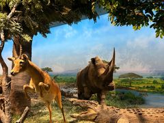 -国家自然博物馆