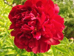 -长春公园(普阳街道)