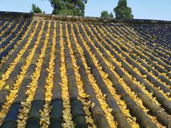 -金堂县云顶石城风景区
