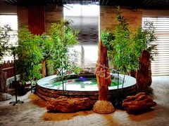 -泉城欧乐堡戏水湾艺术养生温泉