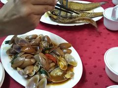 -蛇口康乐快餐鱼仔档(翠苑小区店)