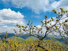 -大连天门山国家森林公园