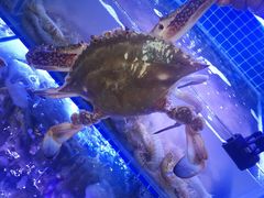 -渔民船说·北塘海鲜·天津菜·海肠捞饭(北塘古镇店)