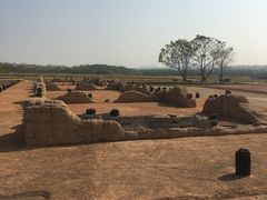 -盘龙城国家考古遗址公园