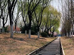 -永定河休闲森林公园