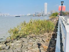 -上海山野camping·户外天幕烧烤·团建拓展营地