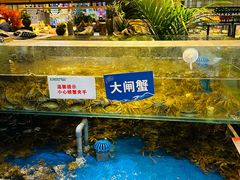 -亚马逊蒸汽活海鲜自助(LCM置汇旭辉广场店)