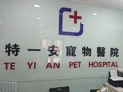 -特一安24小时宠物医院·骨科·中兽医